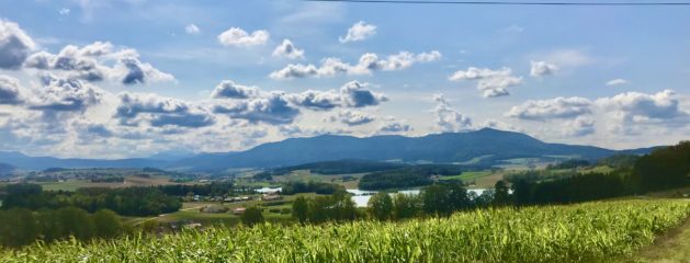 SHT und Motorrad im Straßenverkehr, Bayerischer Wald